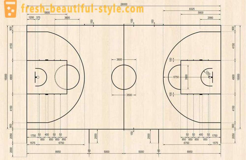 Basketballbane: bilder, størrelser og funksjoner