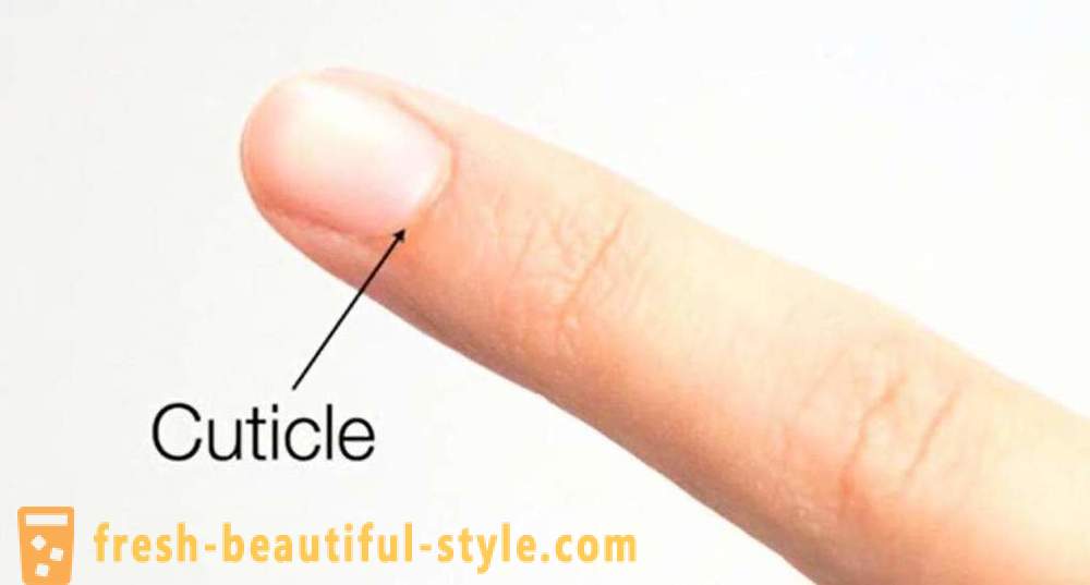 Remuver Cuticle: en metode for å bruke, anmeldelser