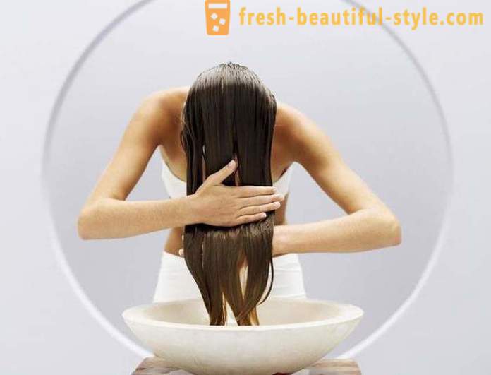 Effektiv shampoo for fett hår: anmeldelser, typer og produsenter