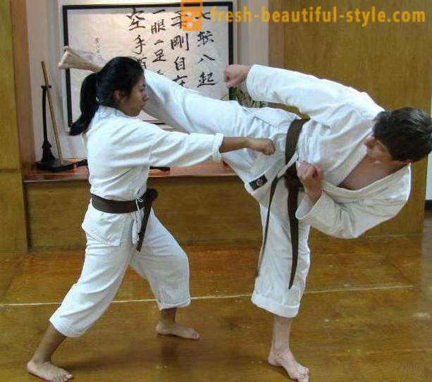 Japanske typer kampsport: beskrivelsen, egenskaper og interessante fakta