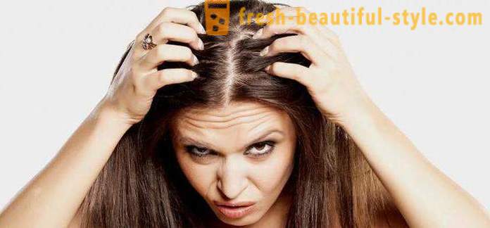 Hvorfor rask zhirneyut hår? Mulige årsaker, funksjoner og metoder for å behandle