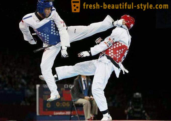 Hva er Taekwondo? Beskrivelse og regler for kampsport