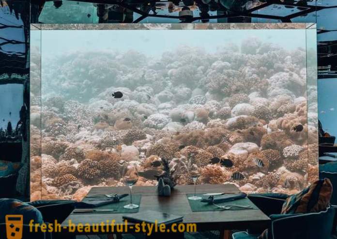 Luksus undersjøisk restaurant i Maldivene