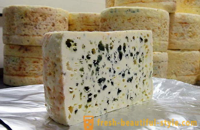 Produksjonsprosessen av fransk Roquefort ost fra gamle oppskrifter