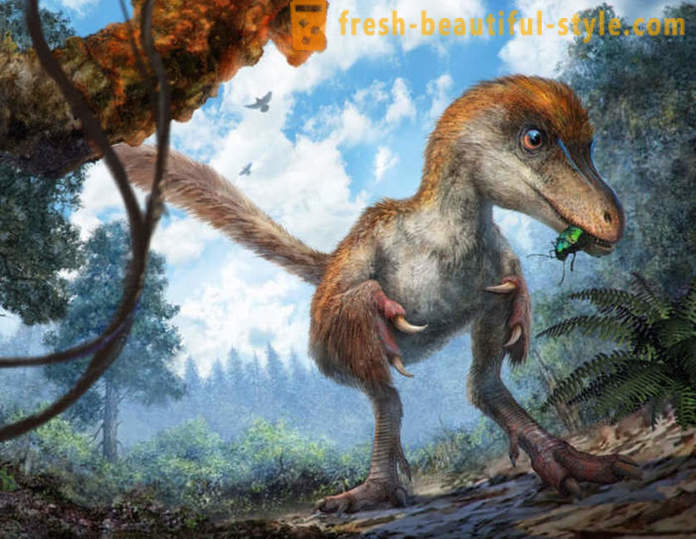 Unike funn assosiert med dinosaurer