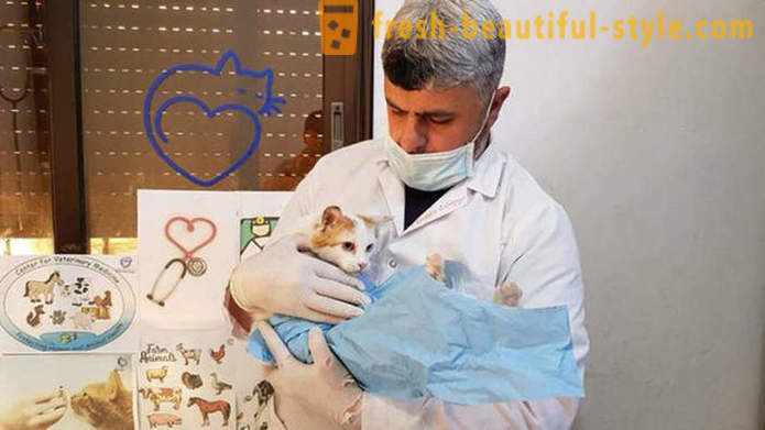 Mannen holdt seg i krigsherjede Aleppo for å ta vare på forlatte dyr