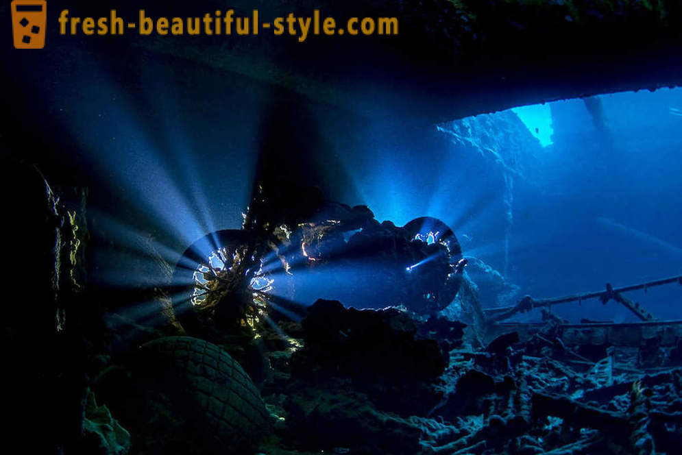 Utrolig opptakene av undervannsfotografering vinnerne