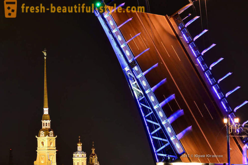 Magiske skjønnhet St. Petersburg broer
