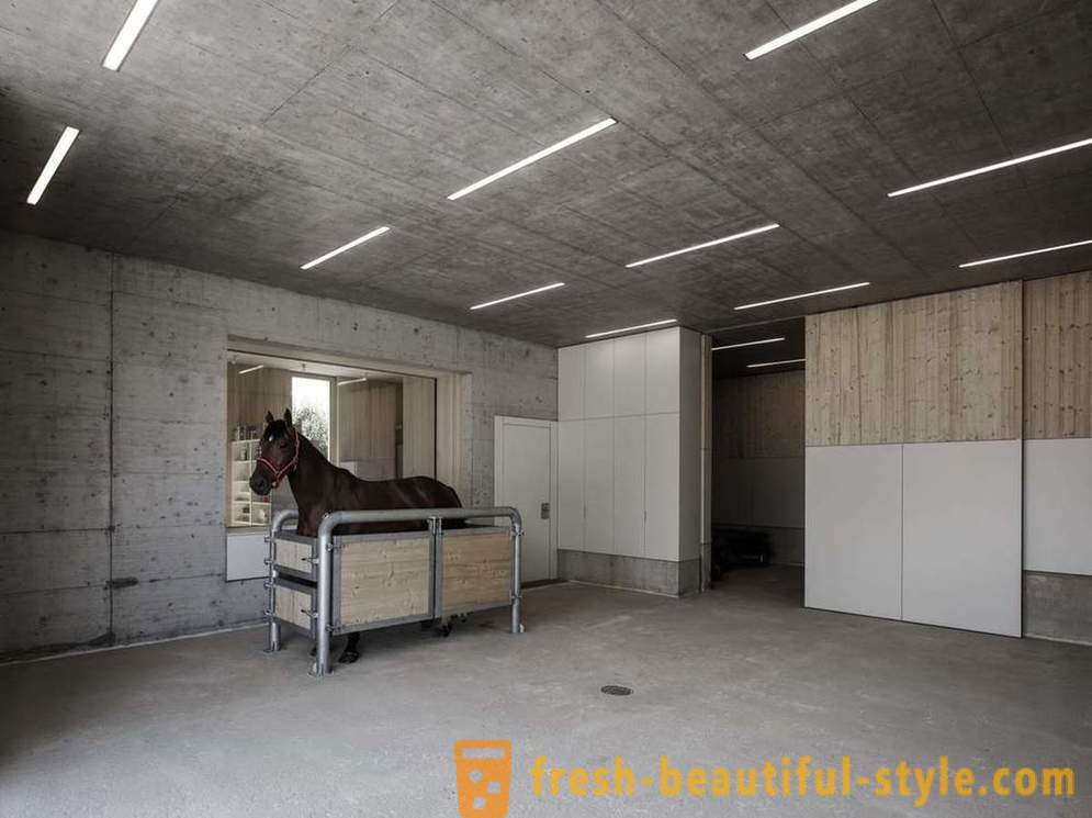 Design av veterinærklinikk for hester i Østerrike
