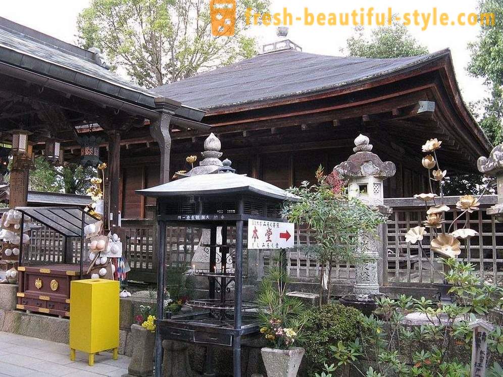 I Japan er det et tempel dedikert til den kvinnelige bryst, og det er fint