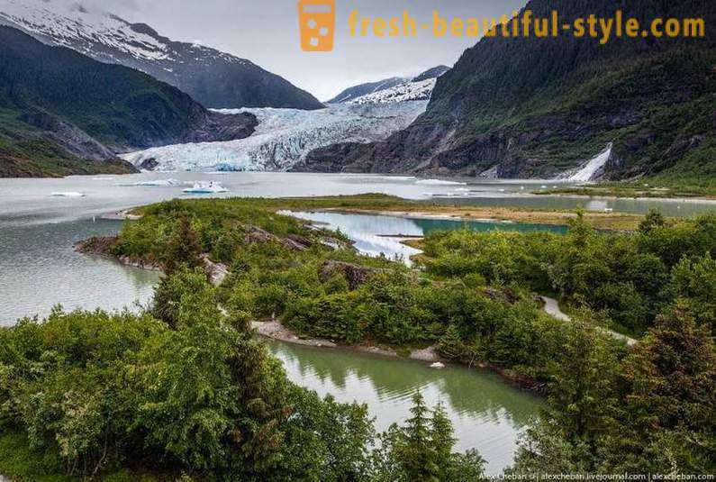 Isbreer i Alaska