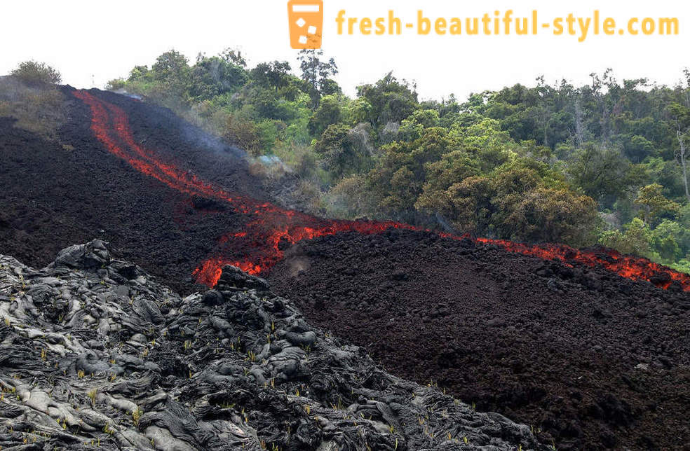 Vulkansk lava flyter fra Kilauea Hawaii