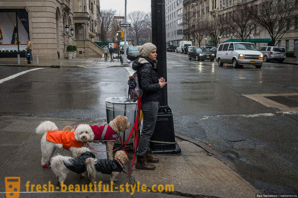 New York: Det rare fashion, dårlige veier og hotellet av fremtiden
