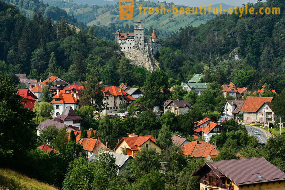 Castle Dracula: Transylvania visittkort