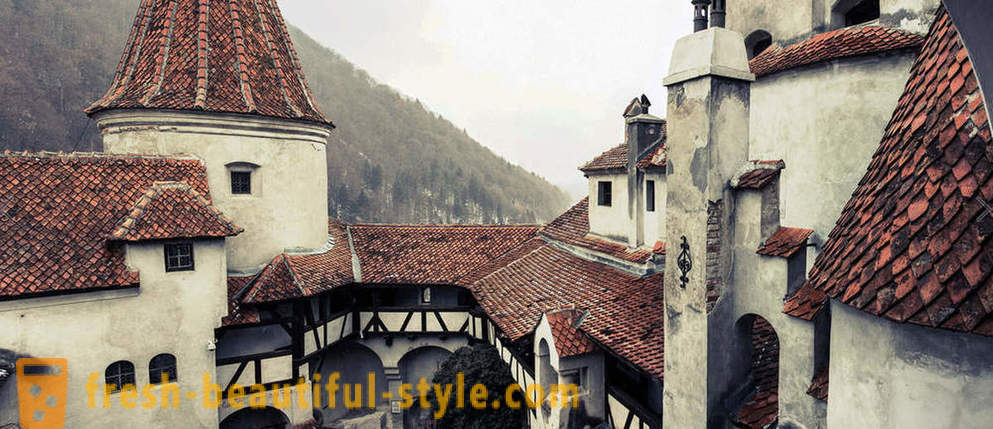 Castle Dracula: Transylvania visittkort