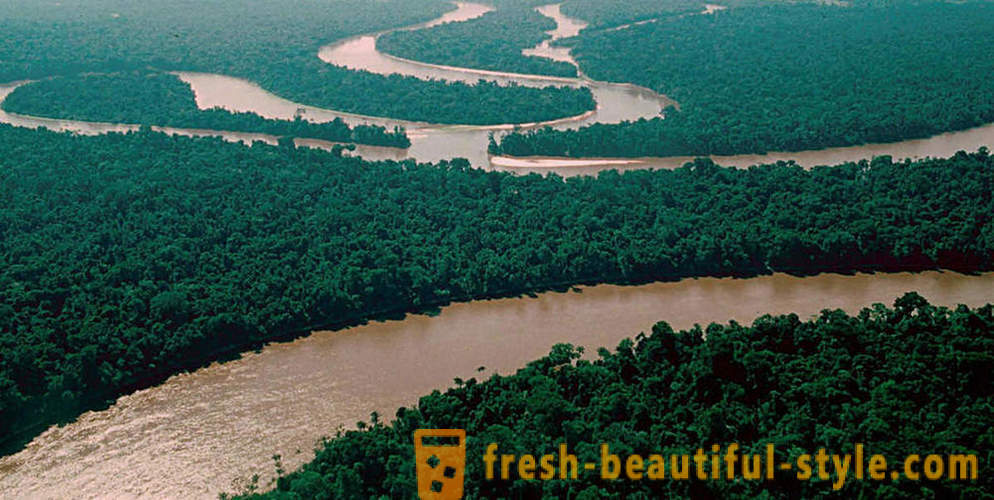 Amazon - naturlig rart av verden