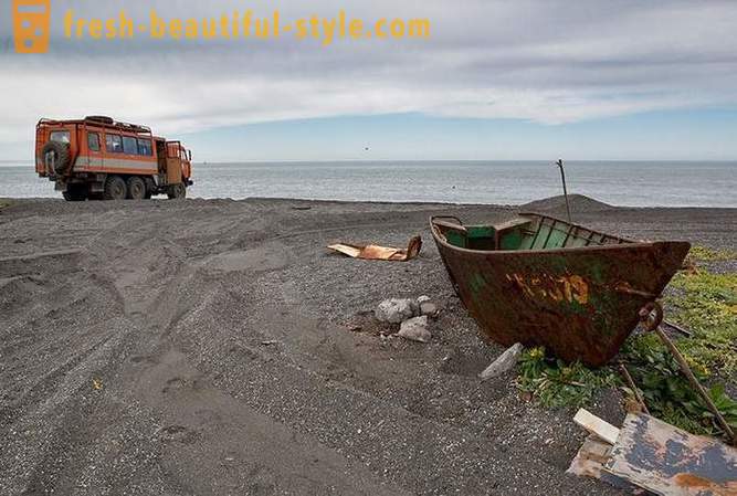 Primordial Kamchatka: Land bjørn