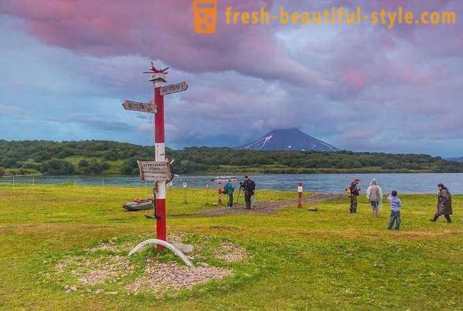 Primordial Kamchatka: Land bjørn