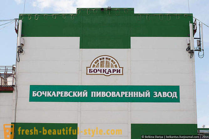 Hvordan lage øl i Altai Territory