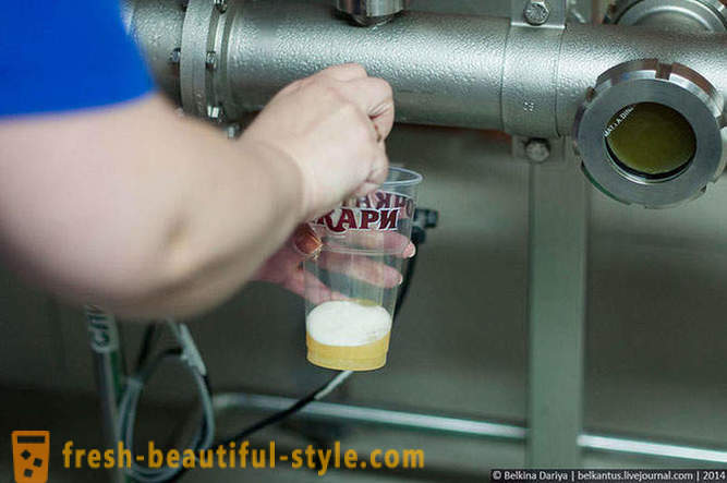 Hvordan lage øl i Altai Territory