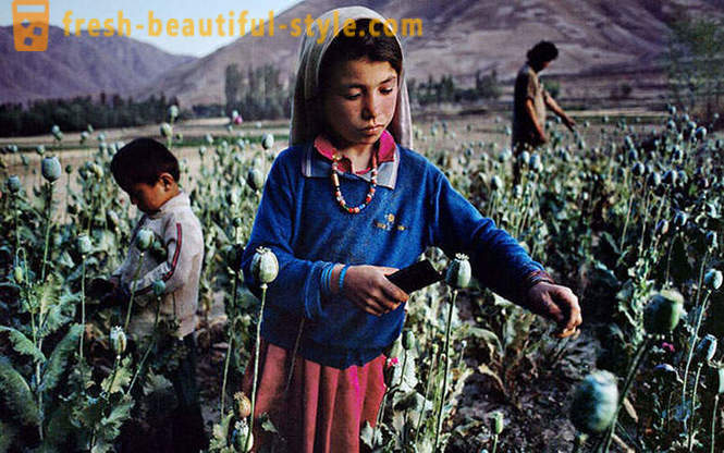 Afghanistan gjennom linsen av Steve Mc Curry
