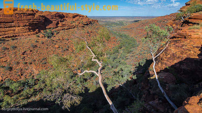 Gå gjennom Kings Canyon i Australia