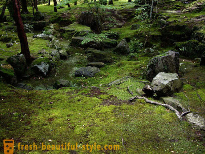 Moss hage i Japan