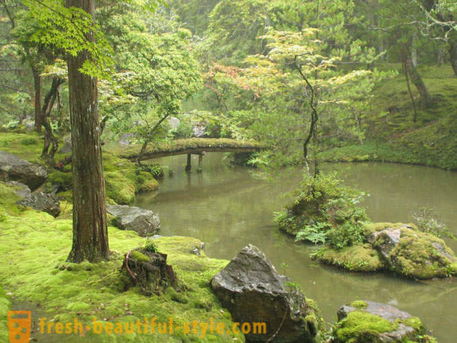 Moss hage i Japan