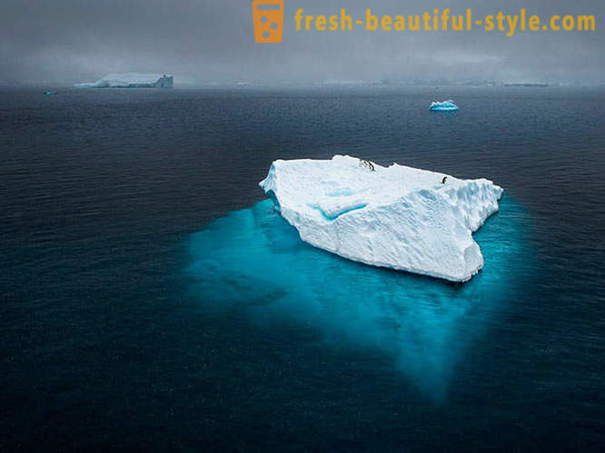 Beste bildene fra 2012 National Geographic