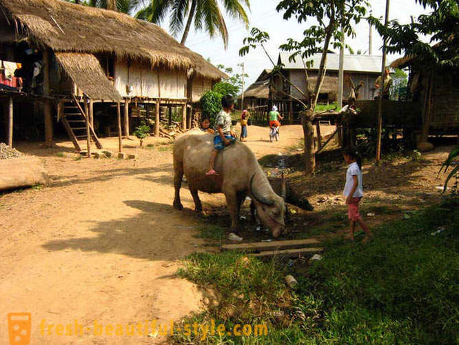GeoFresher - Hvordan leve i Laos