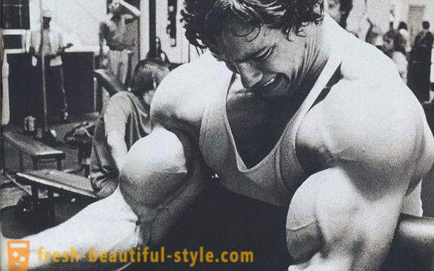 Trening biceps. Opplæringsprogrammet for biceps
