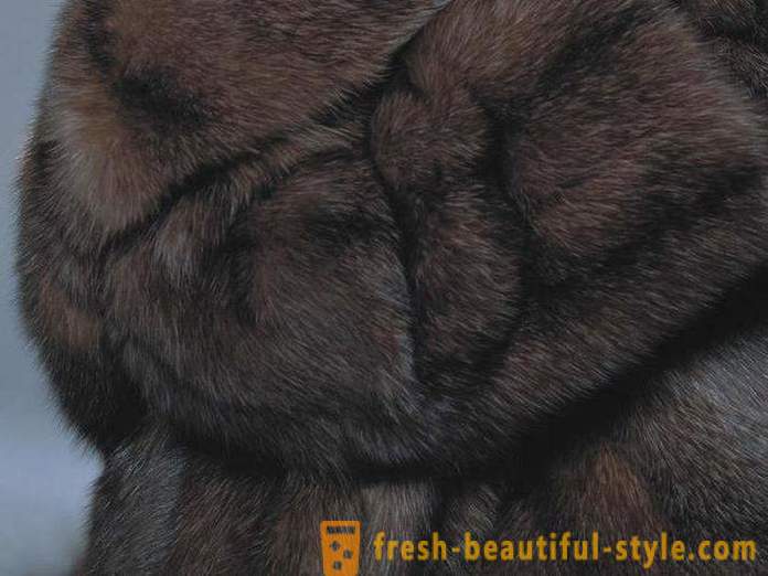 Hvordan skille mellom pelsverk fra sobel pels mår?