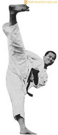 Karate: teknikker og deres navn