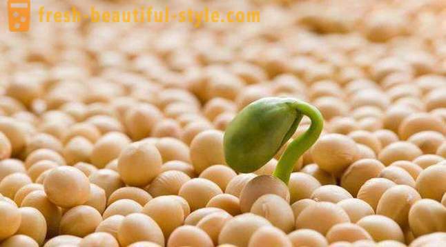 Bruken av soya protein isolat kosthold: anmeldelser