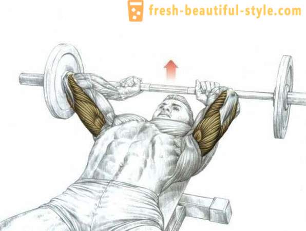 De beste øvelse triceps i gym