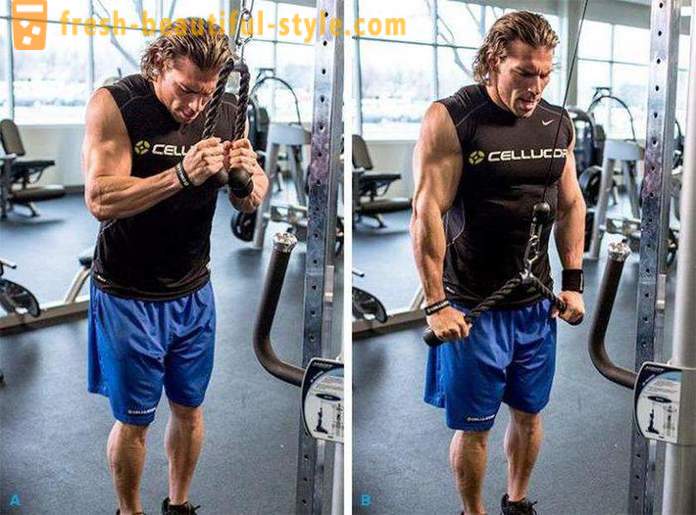 De beste øvelse triceps i gym