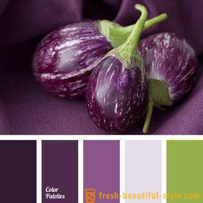 Fargen på aubergine i klær: hva du skal kombinere?