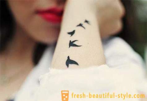 Sjanger Minimalisme: tatovering i denne stilen