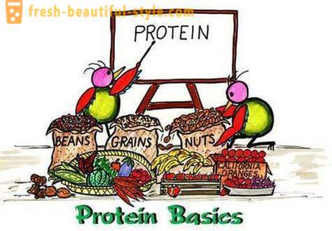 Hva er proteiner? Hvem og hvordan du skal ta protein