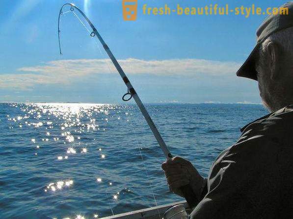 Jeg liker å fiske? Fiske på sjøen, elva og sjøen. Hvordan å fiske med spinning?