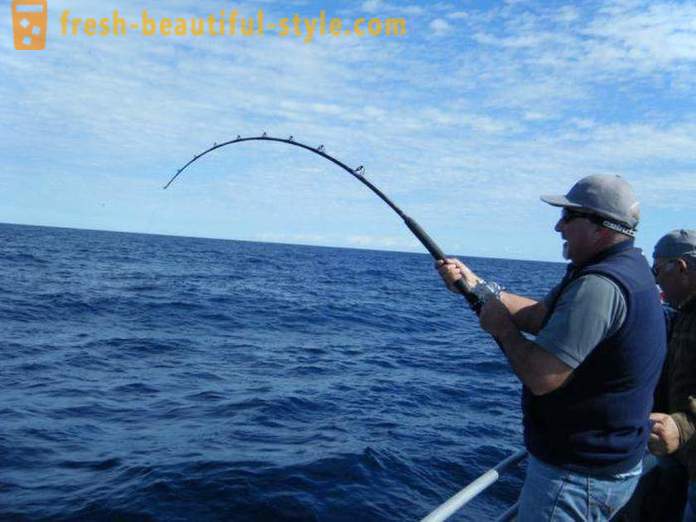 Jeg liker å fiske? Fiske på sjøen, elva og sjøen. Hvordan å fiske med spinning?