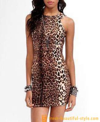 Leopard kjole vakre rovdyr