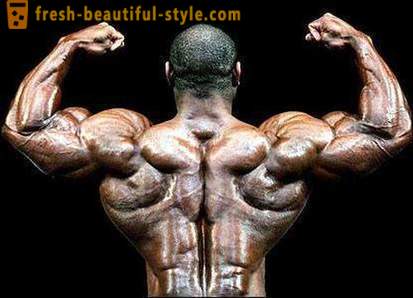 Hvordan styrke musklene i rygg, bryst og armer