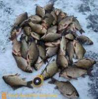 Spennende fiske etter karpe i vinter
